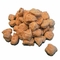 Máy đùn protein đậu nành bằng thép không gỉ 45kw 200kg / H