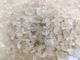 Dây chuyền chế biến gạo nhân tạo SIEMENS Máy đùn trục vít đôi đa năng